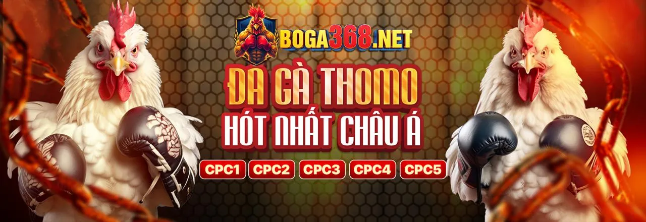 Hình ảnh chính blog về bonusfreebet hiện đang mở