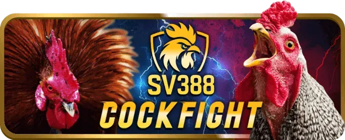 Trò chơi nổ hũ và slot